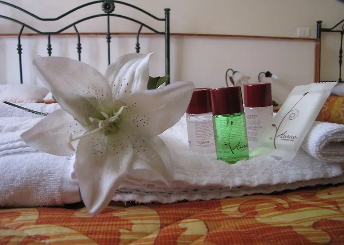 住宿加早餐酒店 埃多鲁住宿加早餐酒店