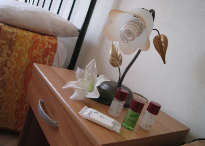 住宿加早餐酒店 埃多鲁住宿加早餐酒店