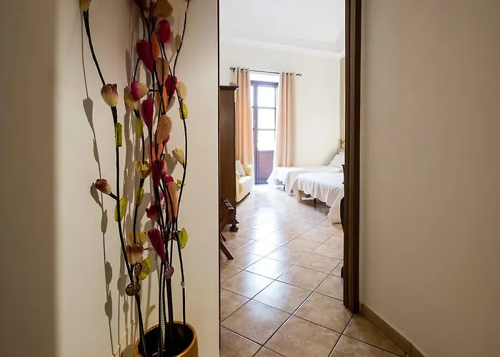 埃多鲁住宿加早餐酒店 住宿加早餐酒店